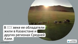 Фамилия Ажин: история, значение и склонение в одной статье – узнайте все о происхождении редкой