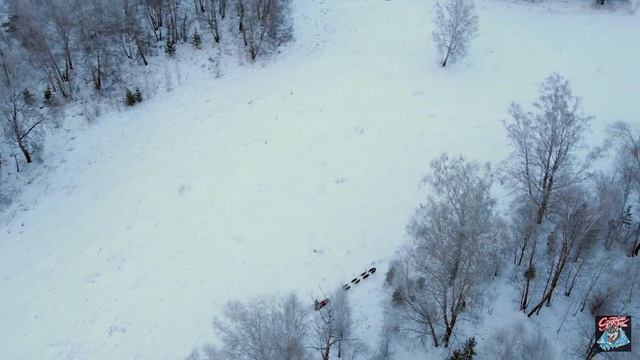 В гостях у Хаски.