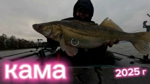 Осенний судак на р Кама.
