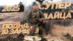 ОХОТА НА ЗАЙЦА 2025 | ПОДНЯЛИ 10 ЗАЙЦЕВ В ТУМАН