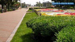 Притча о смысле жизни.