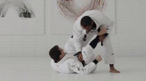 AOJ+ Framing the Guard - Curriculum from Rafael Mendes2