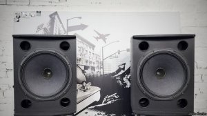 Обзор Английских колонок TANNOY V 15