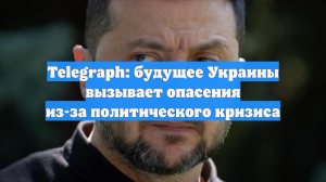 Telegraph: будущее Украины вызывает опасения из-за политического кризиса