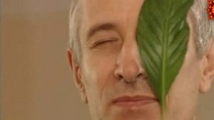 25) ГЛАЗА-Zrenie