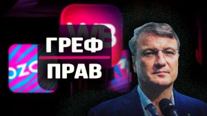Маркетплейсы заигрались с государством: «озоновая» дыра и импорт «диких ягод»