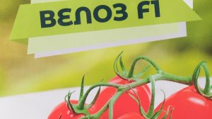 Томат «Велоз F1»