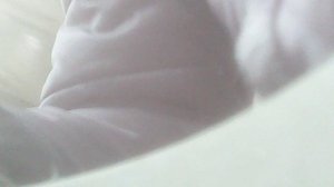 Исполняя заповедь Божию о почитании родителей - завершаю уборку саженцев