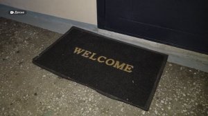 В Барнауле освободили десятки собак из антисанитарной квартиры