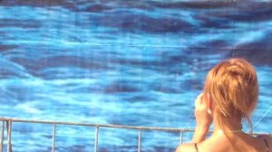 29.07.2018. Севастополь. День ВМФ. Площадь Нахимова.