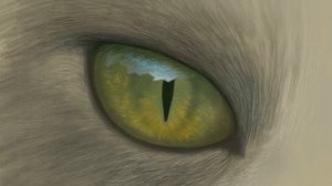 Как нарисовать глаз кота