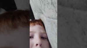 трансляция ещё раз 11 ноября 2025