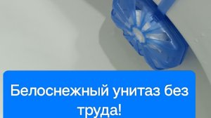 Как Легко Сделать Сменные Блоки для Белоснежного Унитаза своими руками