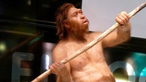 Daily Mail: неандертальцы и древние люди целовались 50 тысяч лет назад