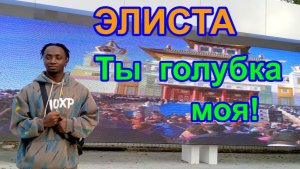 Элиста,голубка моя! 18 ноября 2025