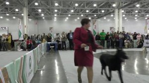 Русская Легенда Марс