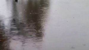 КОМЕДИЯ РОК  Осенний Дождь!..