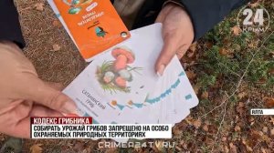 Сезон «тихой охоты»: где в Крыму можно собирать грибы?