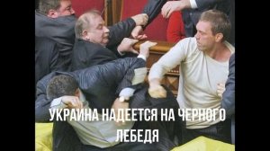 Черный лебедь. Европа исчерпала запасы.