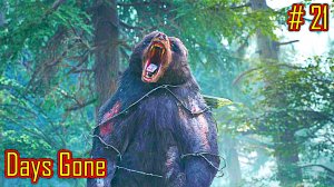 Days Gone прохождение с русской озвучкой часть 21