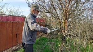 Ни минуты покоя. Жизнь станичная на пенсии.