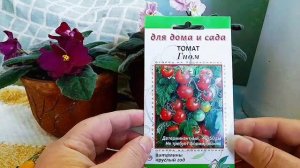 Конец ноября.Выбираю лучшие семена томатов.Первые посевы.