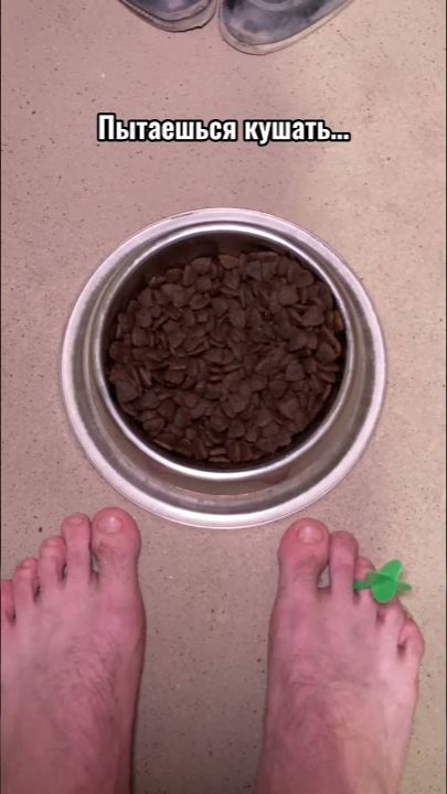 ПОВ: Ты проснулся на свидании с Чикатило😨🌹 #shorts #funny #comedy #memes