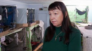 А как поживают постояльцы после переезда приюта «Кот Леопольд» в новое помещение?