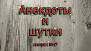 Анекдоты, выпуск №17, где искусственный интеллект берет экспертное мнение