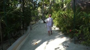 Как растут бананы