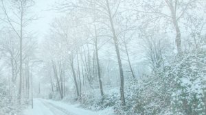 Футаж. Зимний пейзаж 145