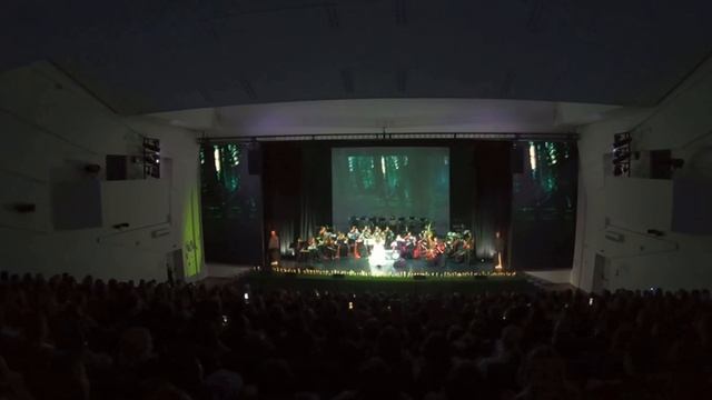 NELLA MUSICA ORCHESTRA «Сумерки. Сага. Симфомультимедия»