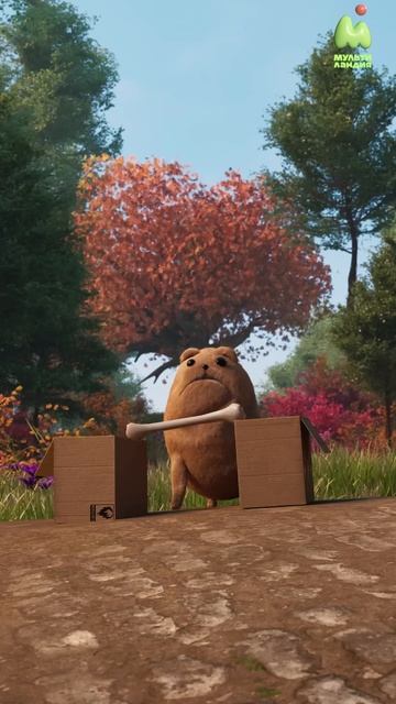 Killer instinct смотреть онлайн