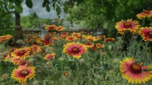 Музыка для отдыха