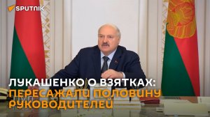 Лукашенко: никто меня не упрекнет, что какие-то жулики мне носили взятки