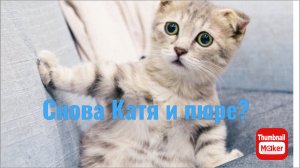 Всё в кучу. Снова Катя и пюре?