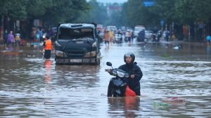 В ловушке воды: подробности о застрявших на мосту во Вьетнаме туристах