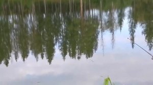 рыбалка на кружки.на пруду.