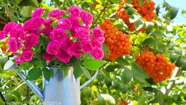 доброе утро смотреть онлайн