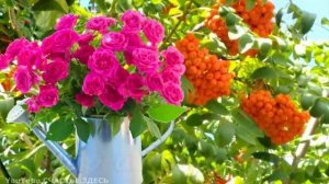 доброе утро