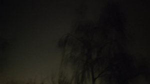 магический пасмурный прогноз погоды от волшебника в ночь на 21 ноября...