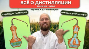 Дистилляция эфирных масел: паровая и гидродистилляция на аламбике | Инструкция + схемы