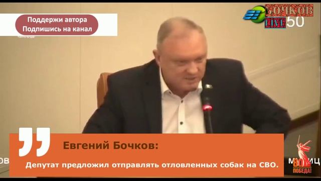 Депутаты нашли новое призвание для бродячих собак.