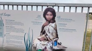 Тоннель Фемарн-Бельт (Femern Bælt-tunnelen)