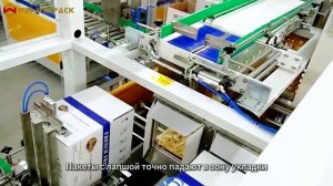 Боковой картонопакетировщик с вертикальной загрузкой для пакетов с лапшой | Case Packer