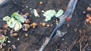 ОРГАНИКА НА ОГОРОДЕ ЭТО ВЕЩЬ.