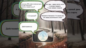 Прогноз на 20 ноября 2025 год🌡️