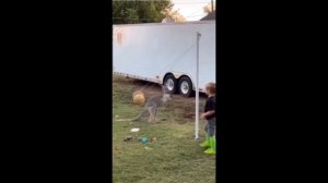 Видео от МЯУтаверс – как метавселенная, но с котами