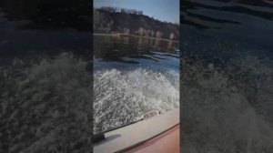 Тест на воде: 9.9(20) л.с. 4Т тащит 5 человек