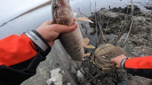 Рыбалка на пруду Грузком